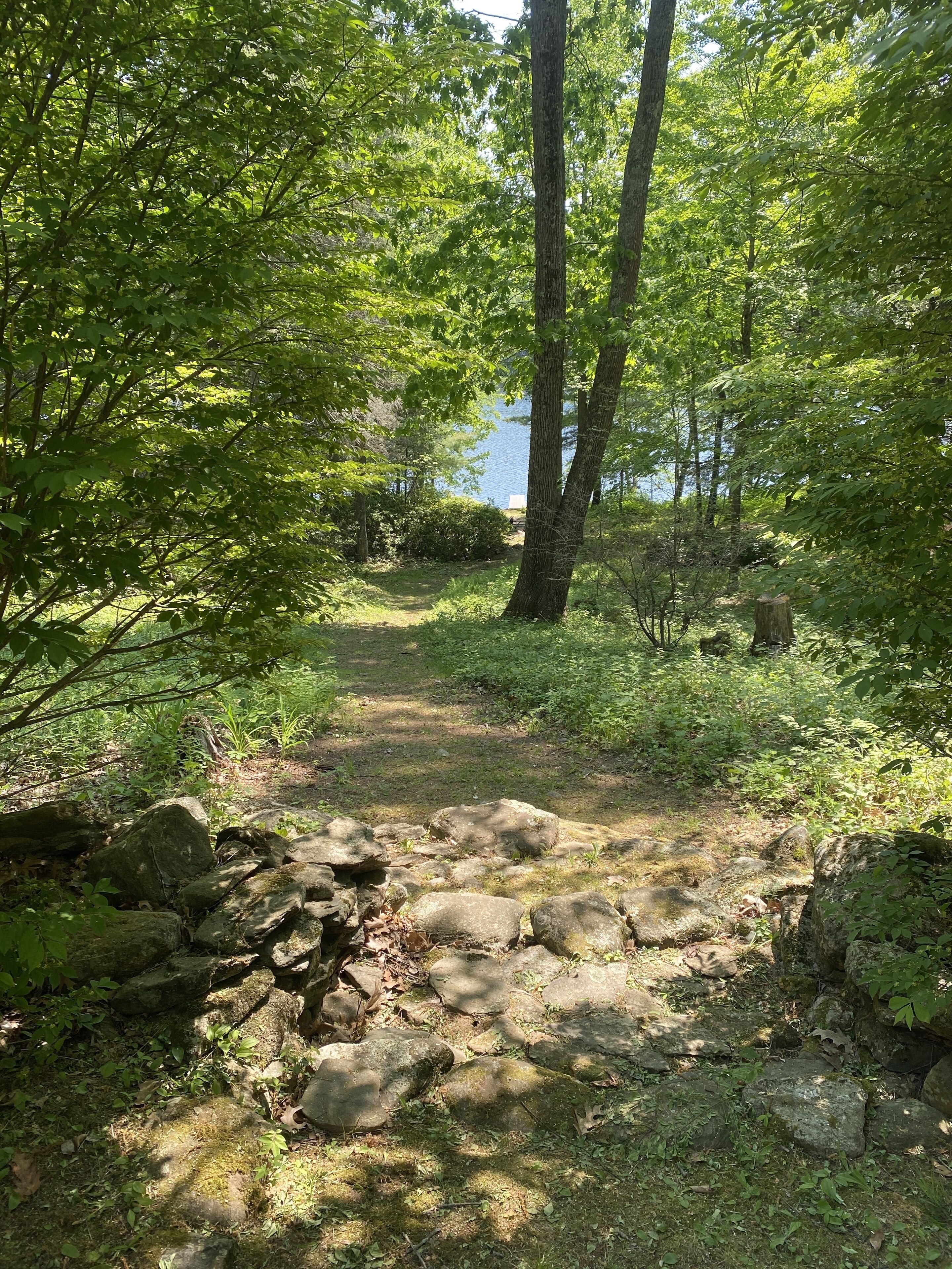 Un sentier boisé, parsemé de rochers et bordé d’arbres.