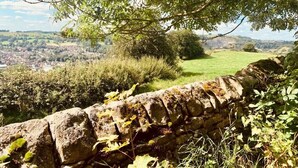 Un mur de pierre donnant sur un champ verdoyant, avec un arbre au premier plan.