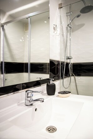 Shower, hair dryer, bidet, towels