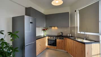 Großer Kühlschrank, Mikrowelle, Ofen, Herdplatte