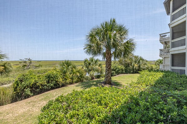 Zona ajardinada con una palmera, arbustos diversos y vista a un paisaje distante.