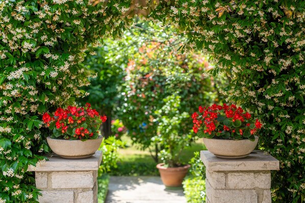 A garden pathway flanked by lush greenery and flowering plants, leading to a central area with a variety of plants. - Quiet location, 3 persons, air-conditioned, garden with barbecue (Porec)