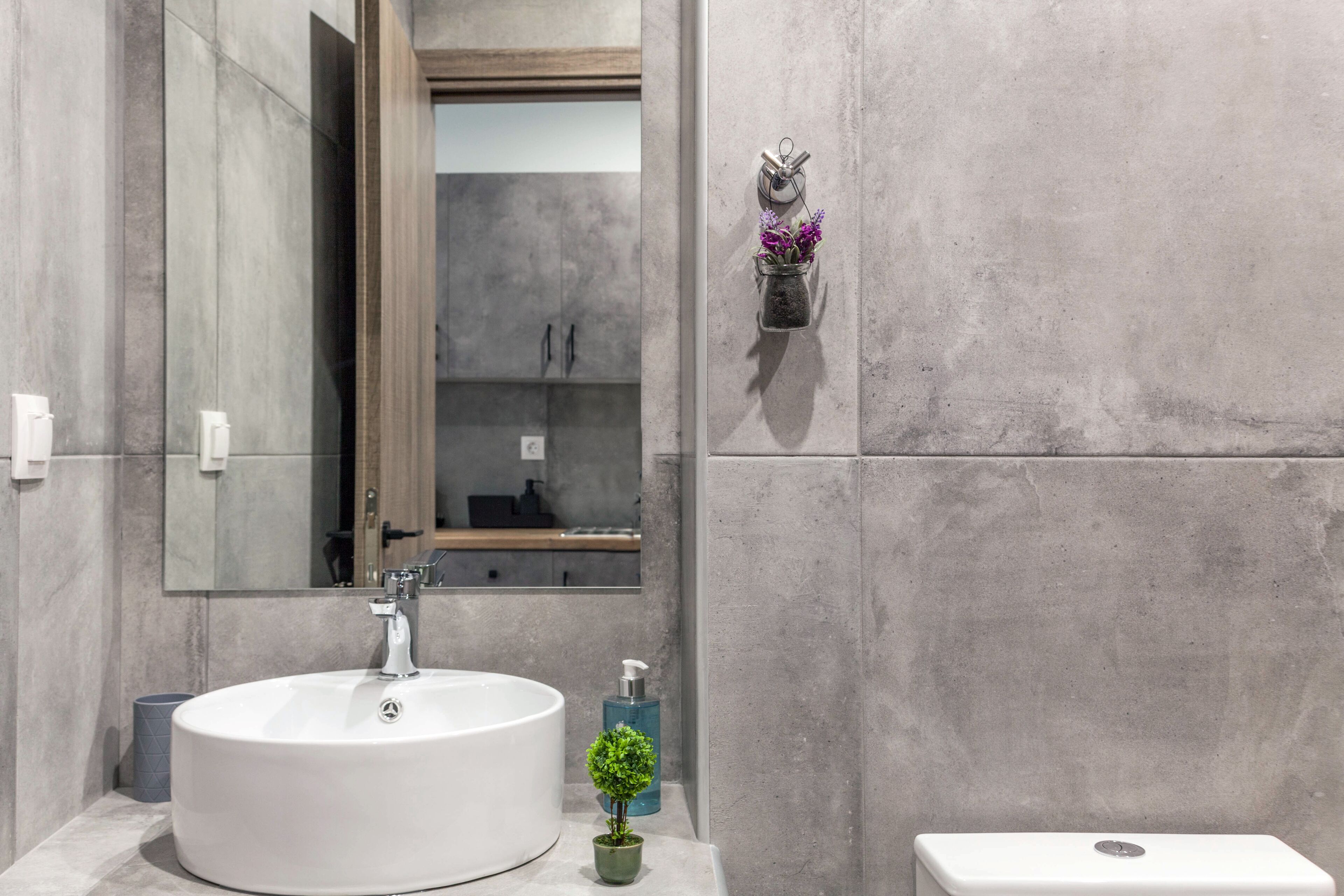 A modern bathroom with a large white sink, a small potted plant, and a toilet.