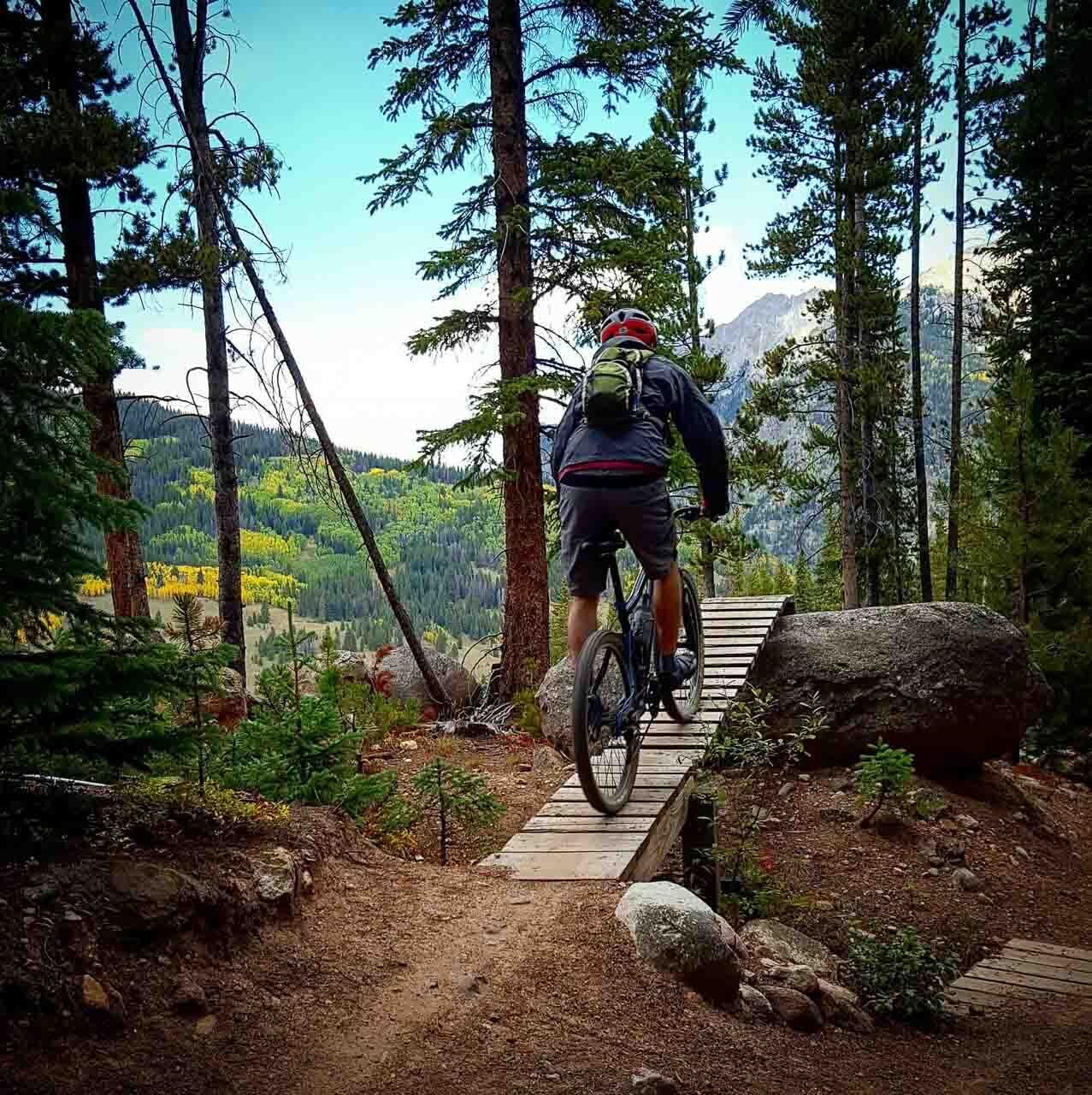 A mountain biker on a wooden bridge in a forested area with a view of mountains in the background.