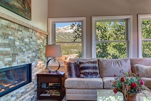 TV, fireplace, DVD player