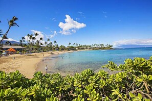 On the beach - Napili Bay beauty, a cozy oceanfront studio (Lahaina)