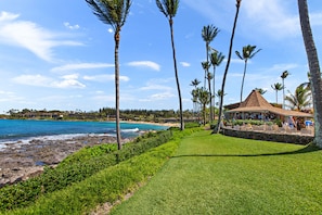 Um resort à beira-mar com praia, palmeiras e um gazebo.