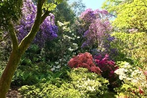 Property grounds - The Dog House, Porlock (Porlock)