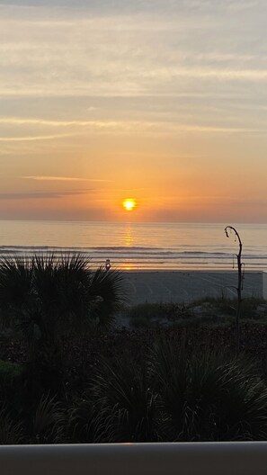 ビーチ、サンラウンジャー、ビーチタオル