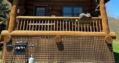 Handcrafted Riverfront Cabin on 10 acres