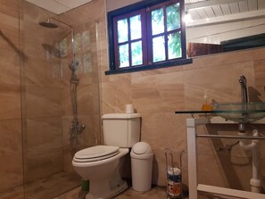 Shower, towels, soap, toilet paper