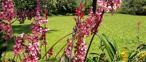 Overnatningsstedets område