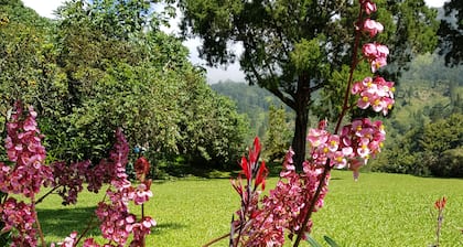 Blue Mountains Jamaican Vacation