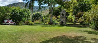 Blue Mountains Jamaican Vacation