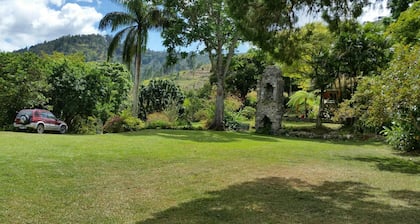 Blue Mountains Jamaican Vacation