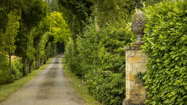 A narrow, tree-lined path leading to a stone entrance with a decorative urn. - Cats Abbey Cottage a charming,  Northleach , Gloucestershire (Northleach)