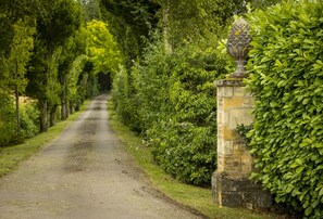 A narrow, tree-lined path leading to a stone entrance with a decorative urn. - Cats Abbey Cottage a charming,  Northleach , Gloucestershire (Northleach)