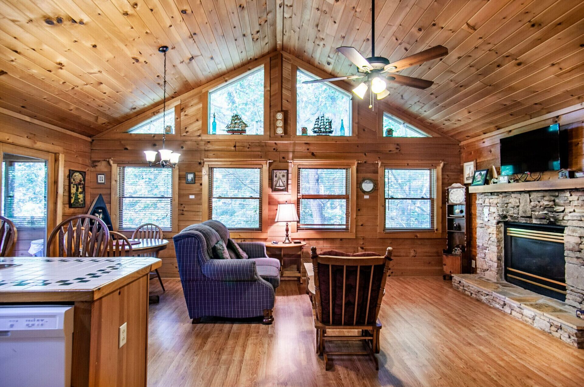 تلفزيون، مدفأة