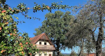 Kellerstöckl at the organic vegan farm - ideal for dog lovers