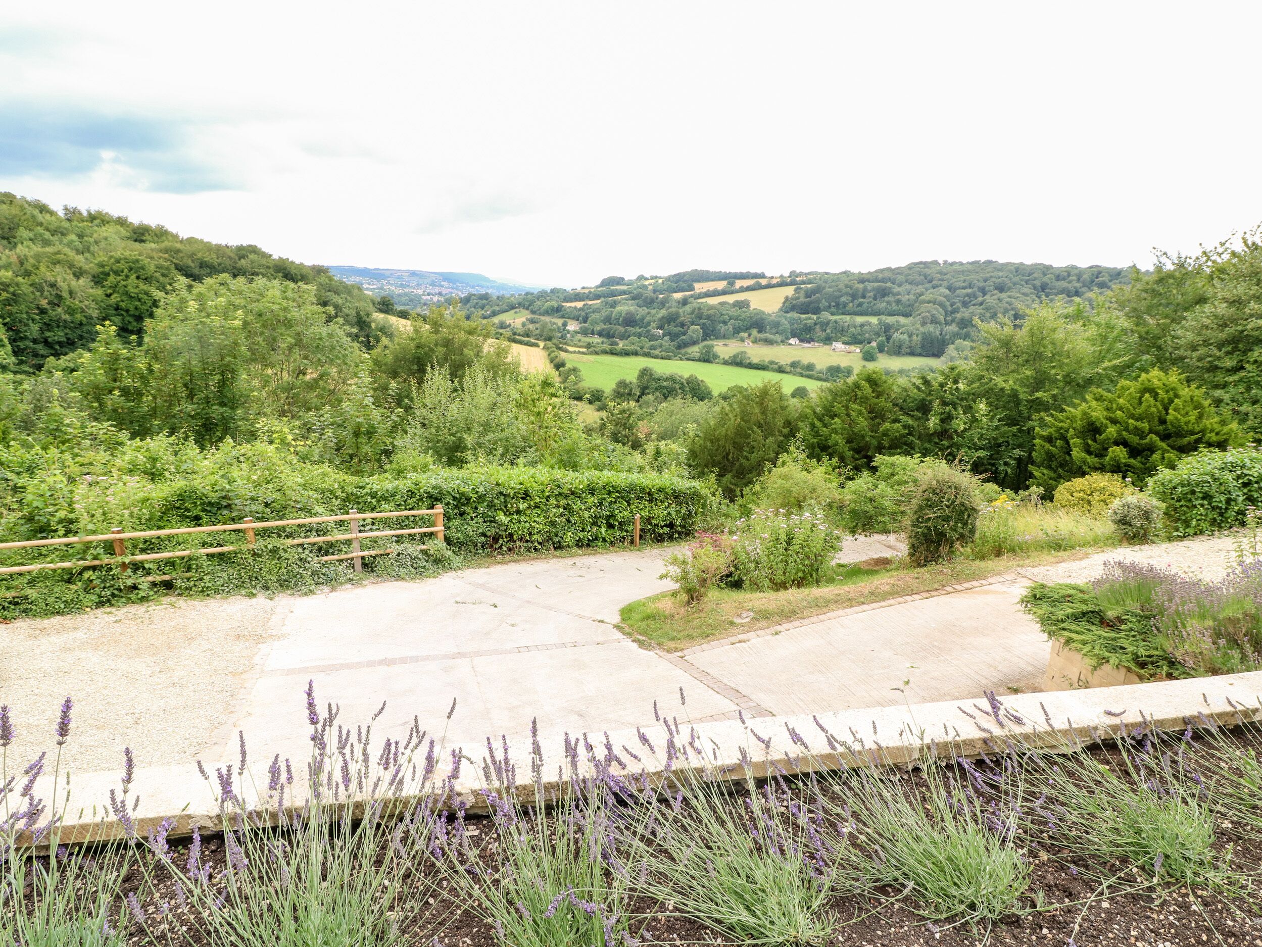 A rural landscape with a gravel path, dense greenery, and lavender fields.
