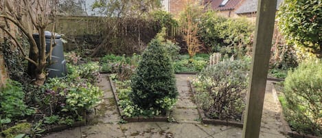 Cottage | Property grounds