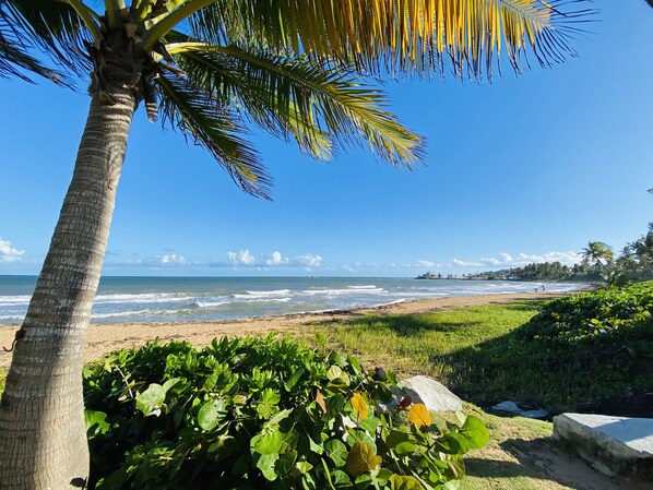 On the beach - Family Paradise Beach Front, Free parking, Wifi and pool (Palmas del Mar)