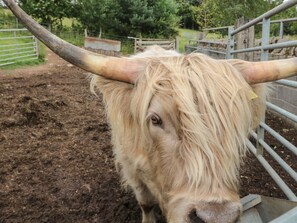 Ferienhaus | Innenbereich