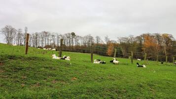 Un campo cubierto de césped con una cerca y árboles al fondo.