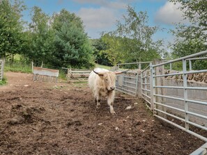 Ferienhaus | Innenbereich