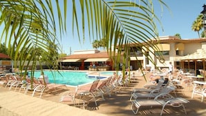 A poolside area with lounge chairs and palm trees.