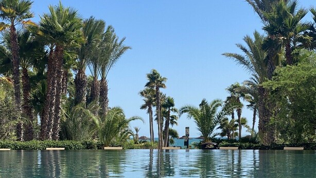 A clear pool surrounded by tall palm trees and lush greenery, reflecting the sky and trees.