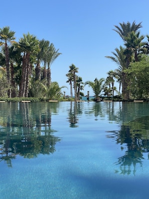 Una piscina cristalina rodeada de altas palmeras y exuberante vegetación, que refleja el cielo y los árboles.