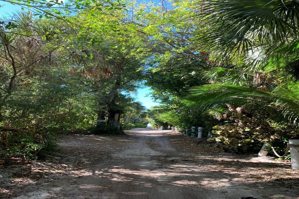 Un sentier de terre bordé d’une végétation dense et d’arbres, qui mène à une construction située au loin.