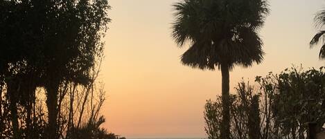 Beach nearby, sun loungers, beach towels