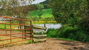 A rural landscape with a wooden gate leading to a path beside a body of water, surrounded by greenery and trees.