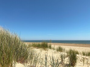 Fishing - Norfolk Broads and Coast, The Beach House (Winterton on Sea)