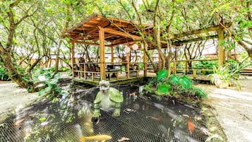 Japanese garden