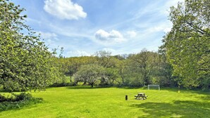 A grassy field with trees, a picnic table, and a soccer goal. - The Cottage - UK35177 (Buckland Brewer, near Bideford)