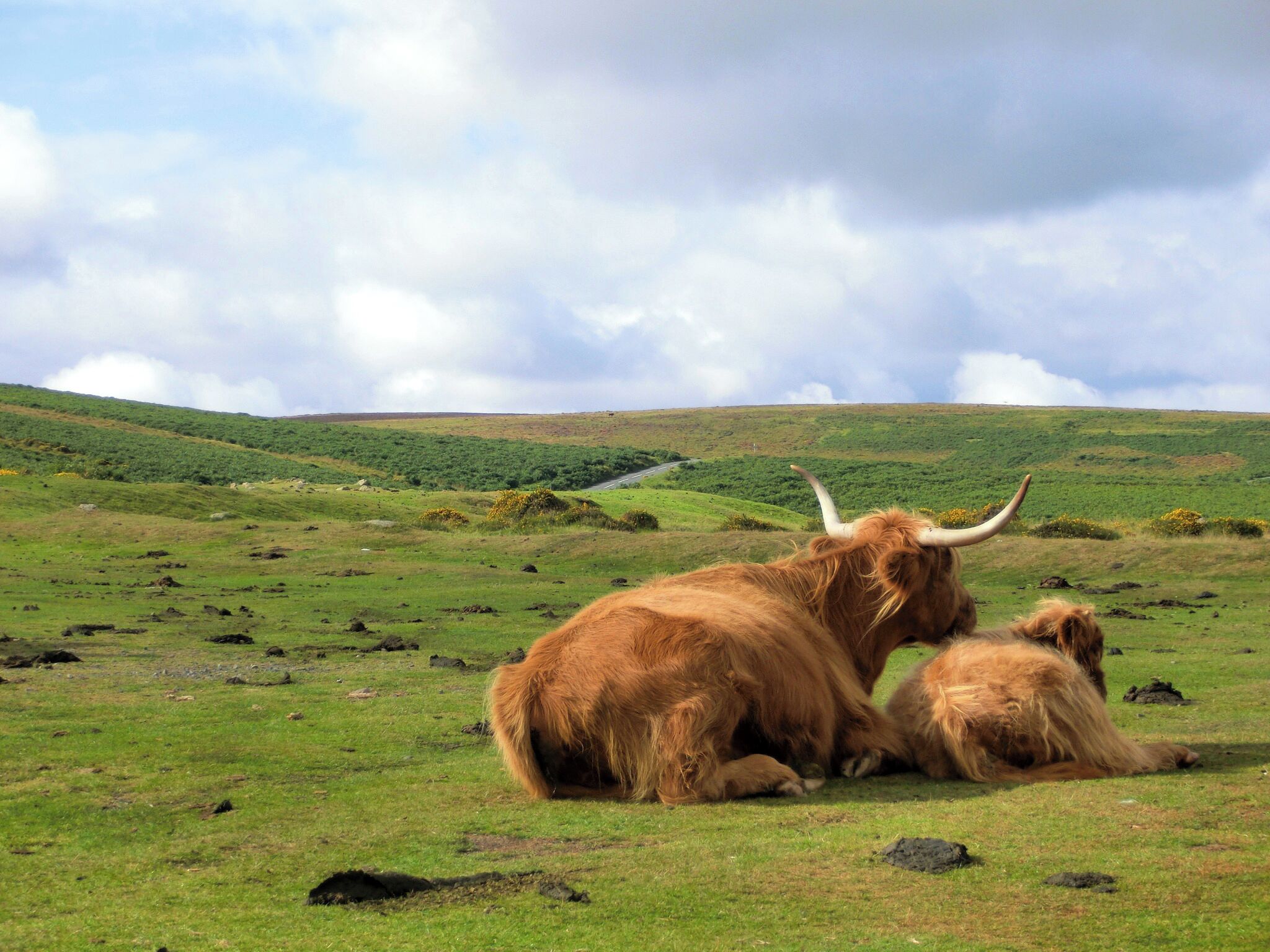 A natural landscape with rolling hills and a road in the distance.