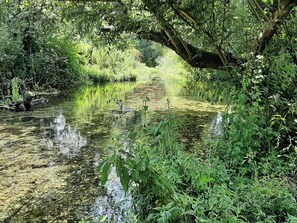Photo non classée, 2 sur 36, bouton