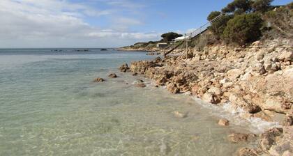 Bernie's - absolute beachfront