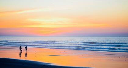 Spacious/Immaculate 1st flr 1,260 SqFt Unit