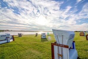 A grassy area with numbered lounge chairs and a body of water in the background.