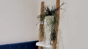 Een bed met een bedspreider met een groen patroon, een bedlamp en een houten plantenstandaard met planken.