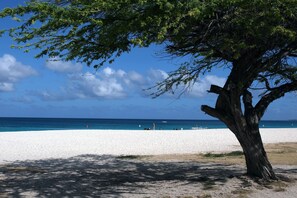 Plage à proximité, chaise longue, serviettes de plage