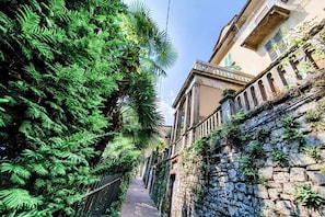A narrow alleyway with lush greenery on one side and a stone wall on the other.