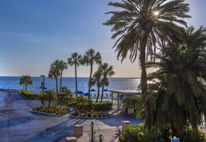 ❤Amazing Waterfront View/Near Downtown& Airport ☀🐬