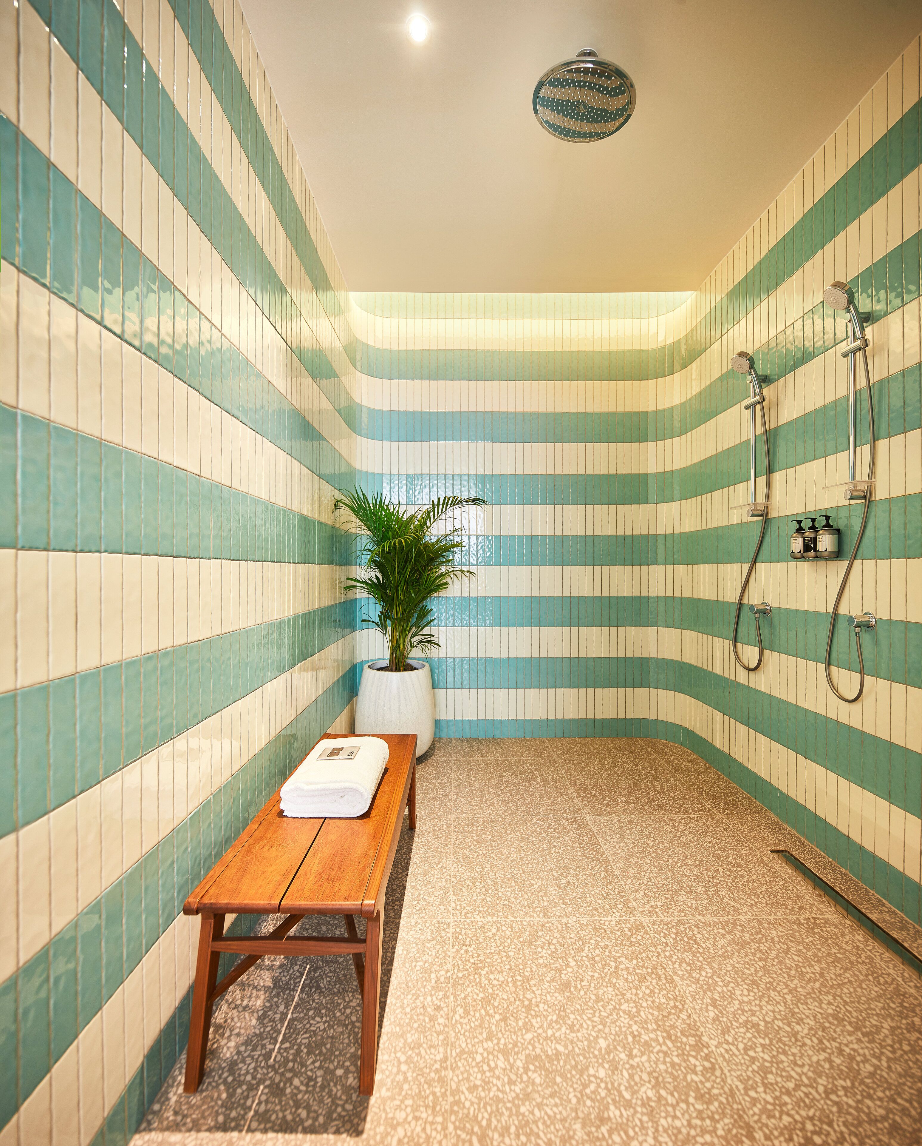 A small, tiled room with a bench and a potted plant.