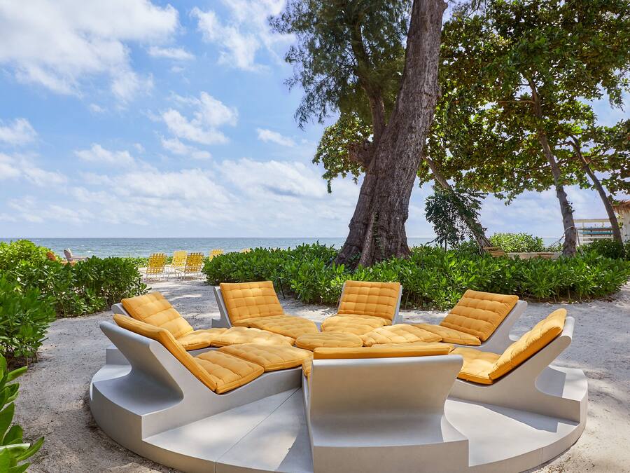 A beachside lounge area with white lounge chairs and yellow cushions, surrounded by greenery and overlooking the ocean.