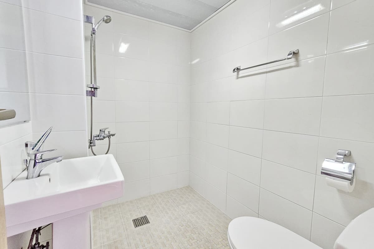 shower, free toiletries, hair dryer, soap